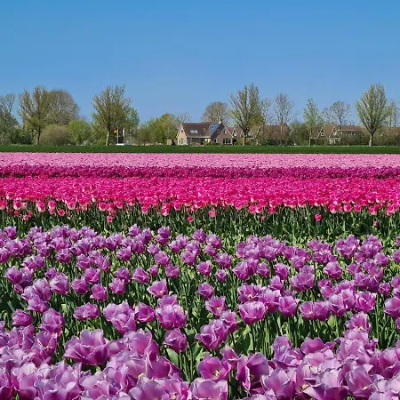 556 Op Recreatiepark De Wielen 신트 마르턴