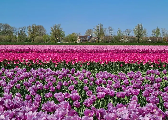 556 Op Recreatiepark De Wielen Sint Maarten