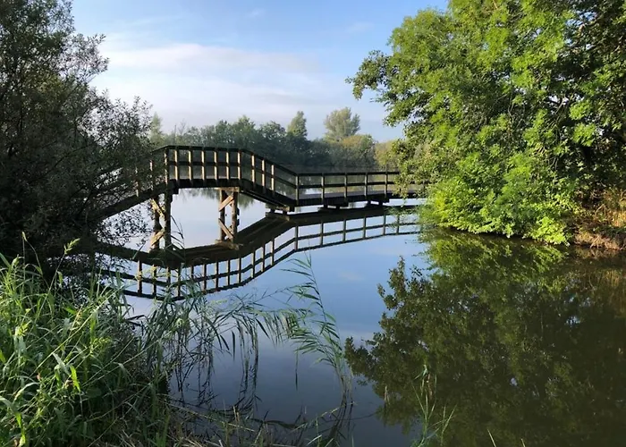 Chalet 556 Op Recreatiepark De Wielen Sint Maarten